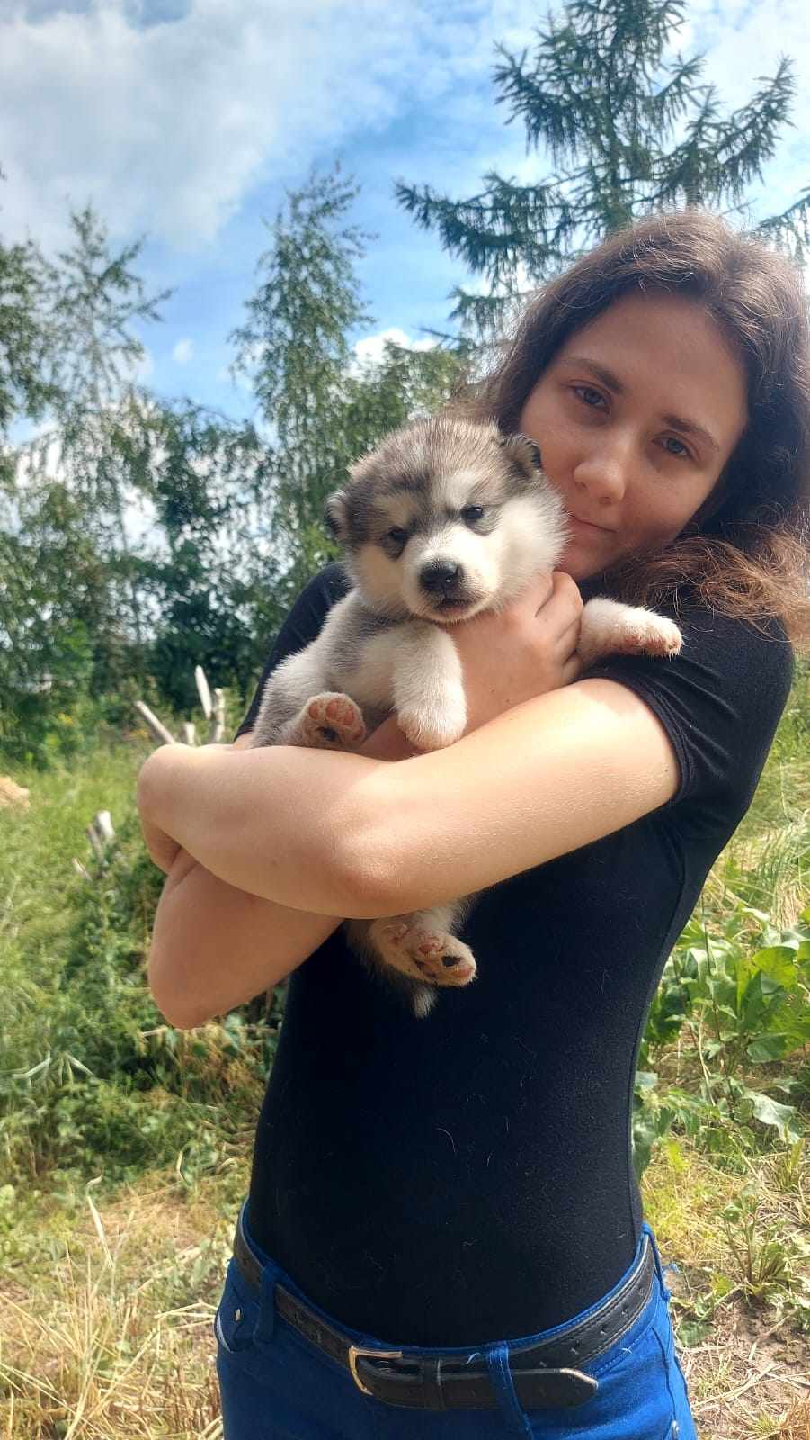 Messenger_creation_28831fe3-d452-4df5-92ec-f7f6329b367e